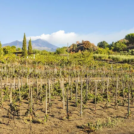 Etna 度假居 特雷卡斯塔尼